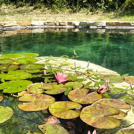 Terrapia Alojamento de Turismo Rural *