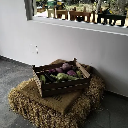 Séjour à la ferme Terrapia *