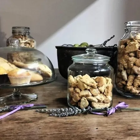 Alojamento de Turismo Rural Terrapia