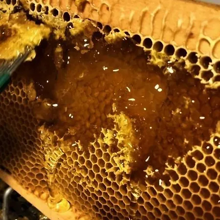 Terrapia Farm stay Moscufo