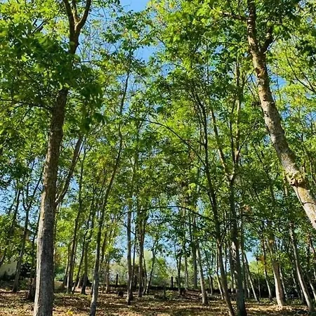 Farm stay Terrapia Moscufo