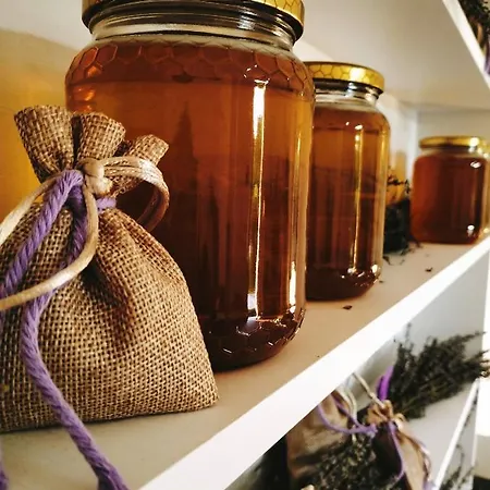 Farm stay Terrapia Moscufo