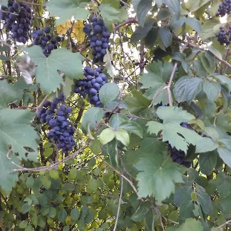 Terrapia Séjour à la ferme