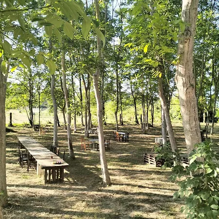 Terrapia *