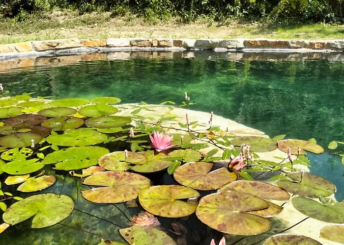 Terrapia Gospodarstwo agroturystyczne *