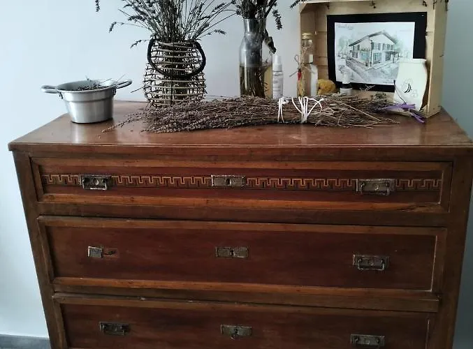 Terrapia Gospodarstwo agroturystyczne