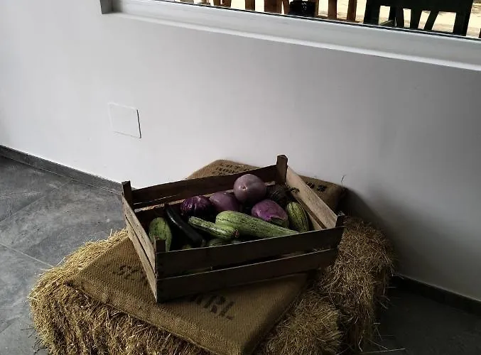 Фермерский дом Terrapia *