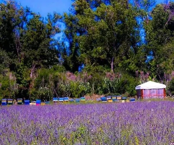 Gospodarstwo agroturystyczne Terrapia *