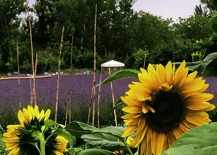 Фермерский дом Terrapia